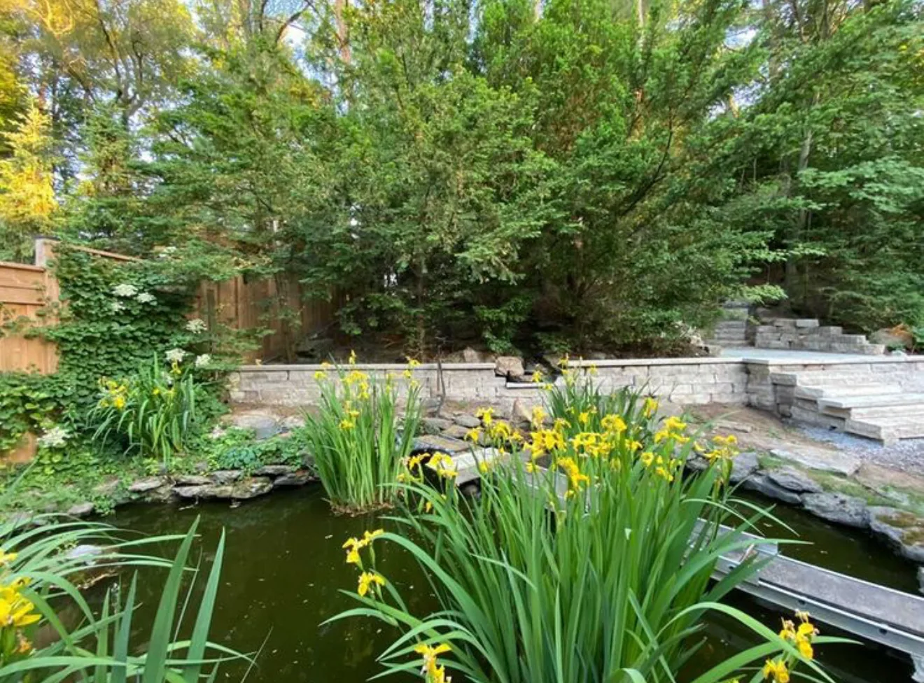 Backyard garden pond with irises, natural stone edging and a retaining wall by NS Services