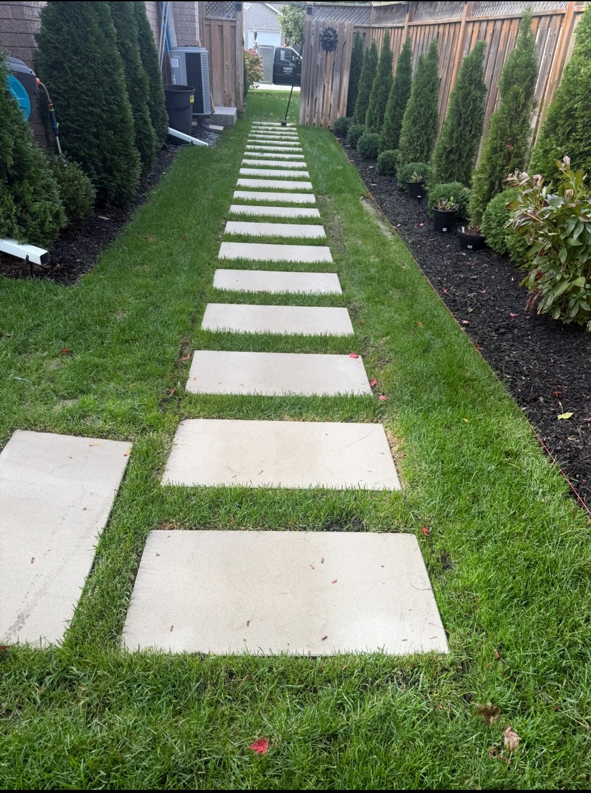 Stepping-stone Path